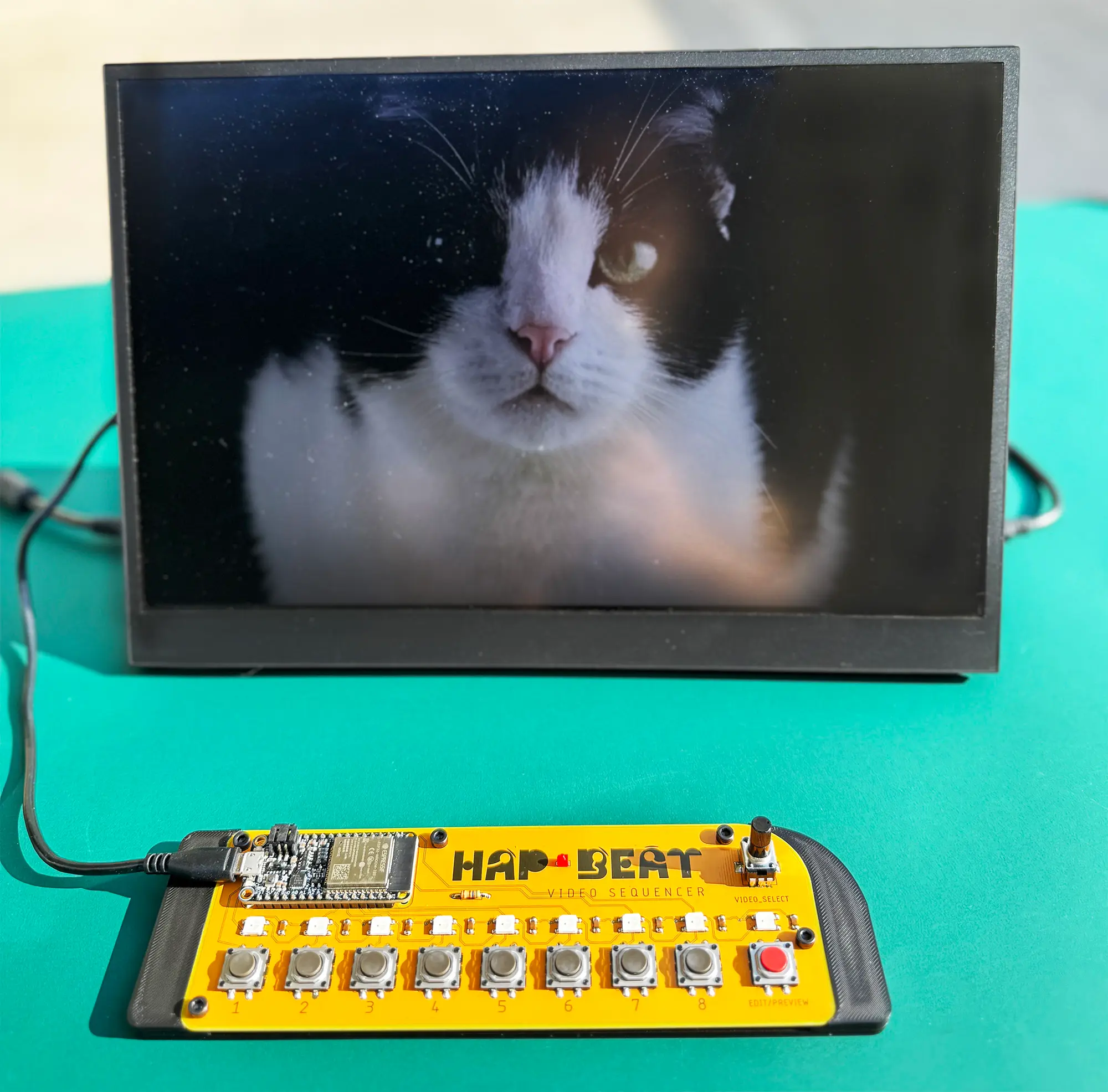 HAPTIC STEP SEQUENCER